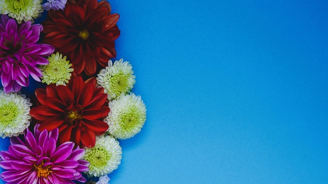 韩足晚报（2025.11.14）完胜，韩国拿到关键胜利